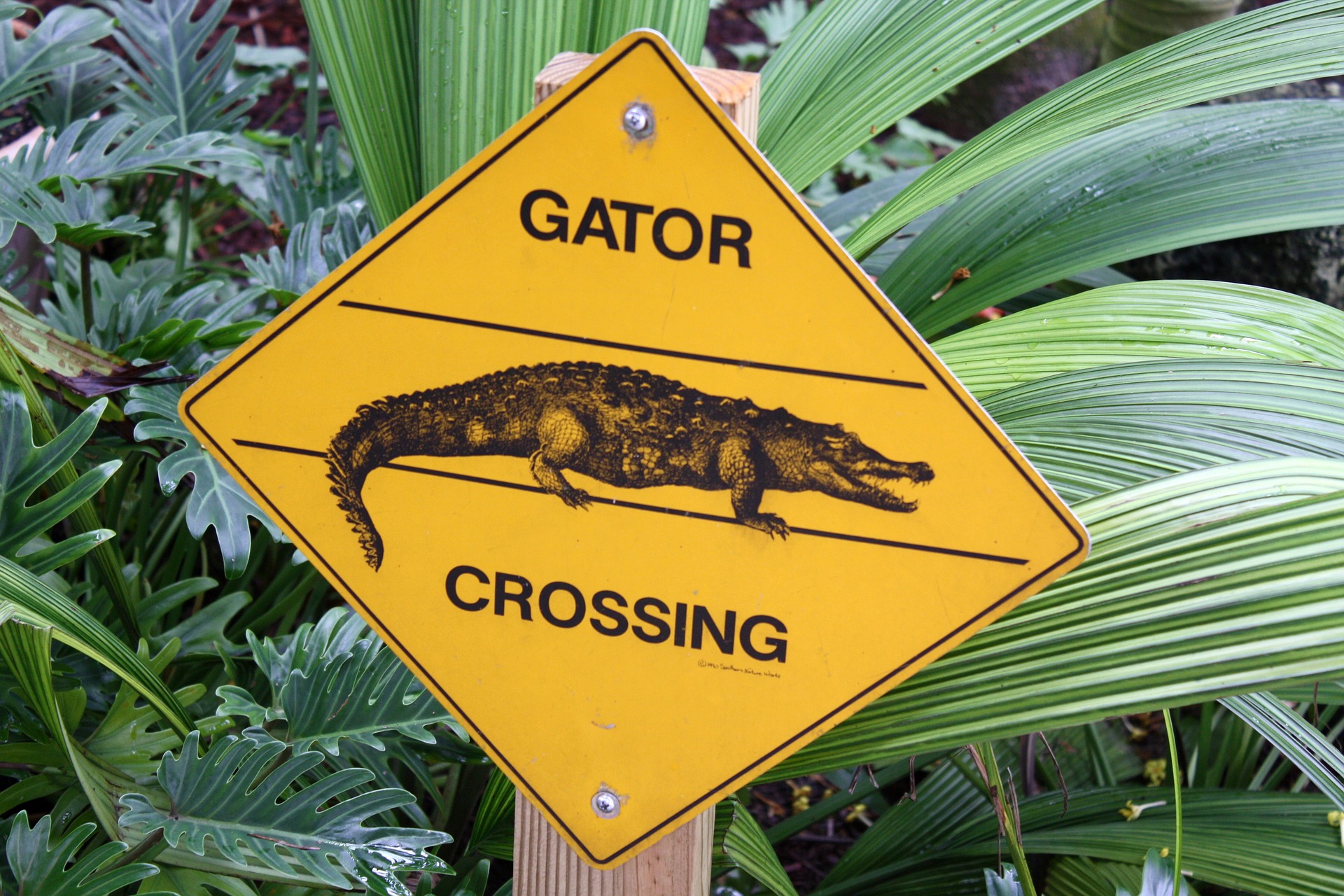 gator crossing sign